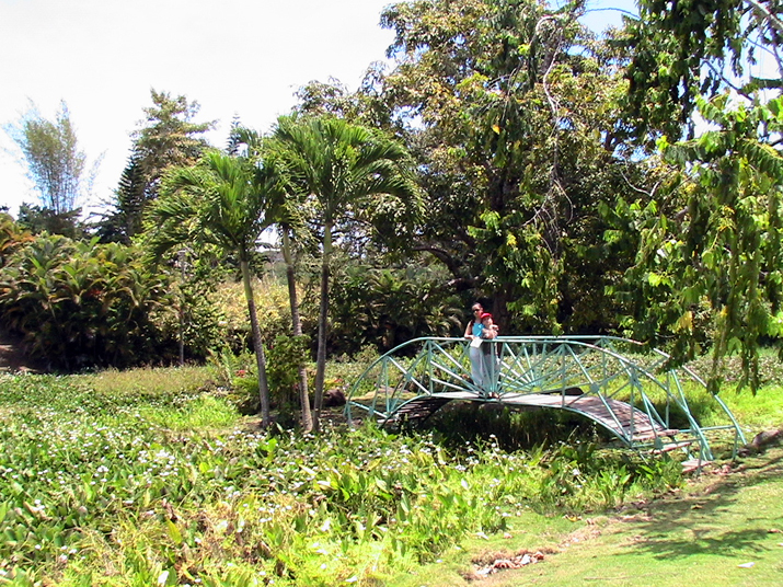 28 - Jardin des eaux 027.jpg